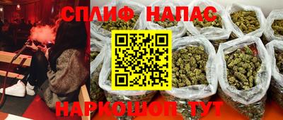 твердый Будённовск